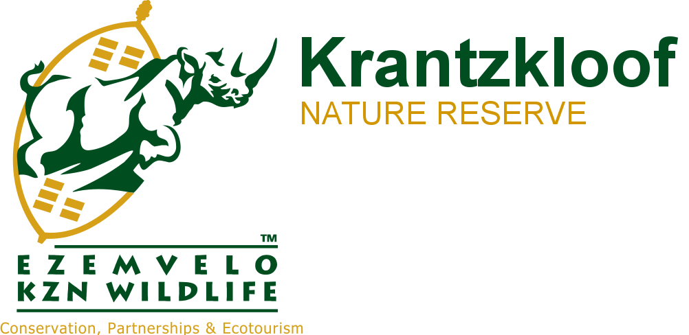Krantzkloof Nature Reserve